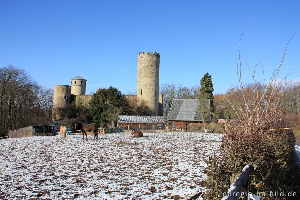 Detailansicht von Die Laufenburg bei Langerwehe