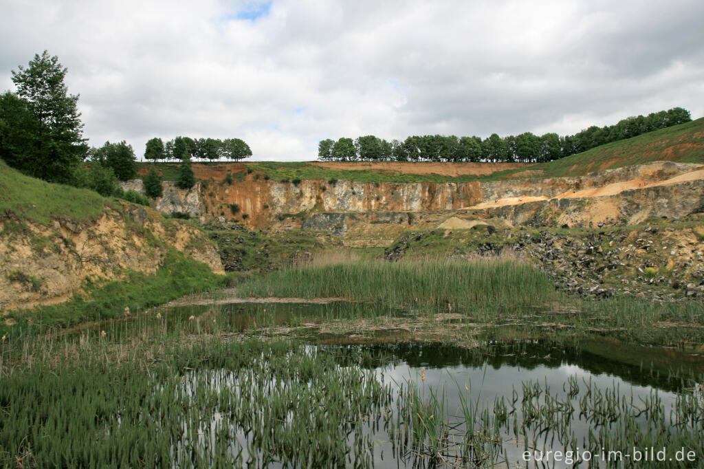 Detailansicht von Die Mergelgrube ´t Rooth in Südlimburg