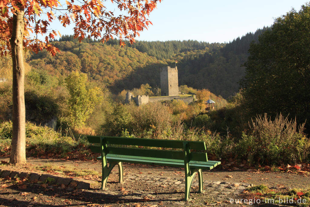 Detailansicht von Die Oberburg bei Manderscheid