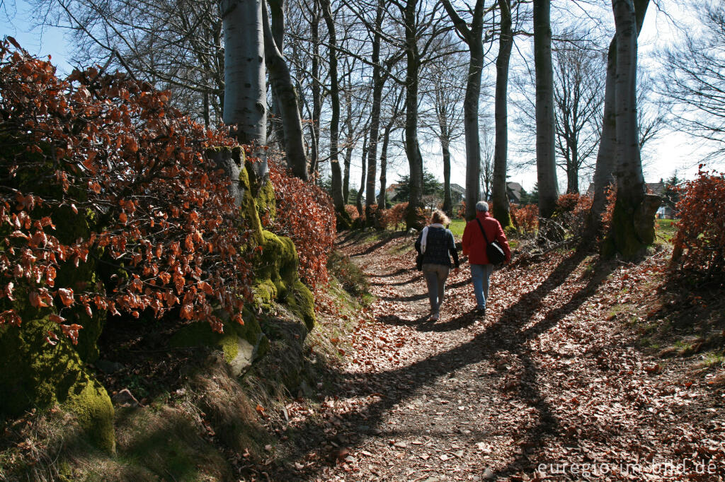 Detailansicht von Die Renertzgasse in Mützenich, Eifelsteig