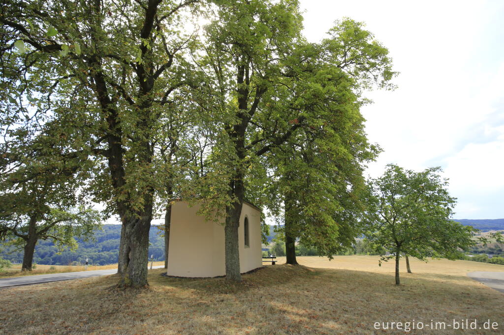 Detailansicht von Die Rochuskapelle bei Holsthum