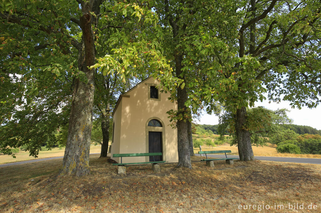 Detailansicht von Die Rochuskapelle bei Holsthum