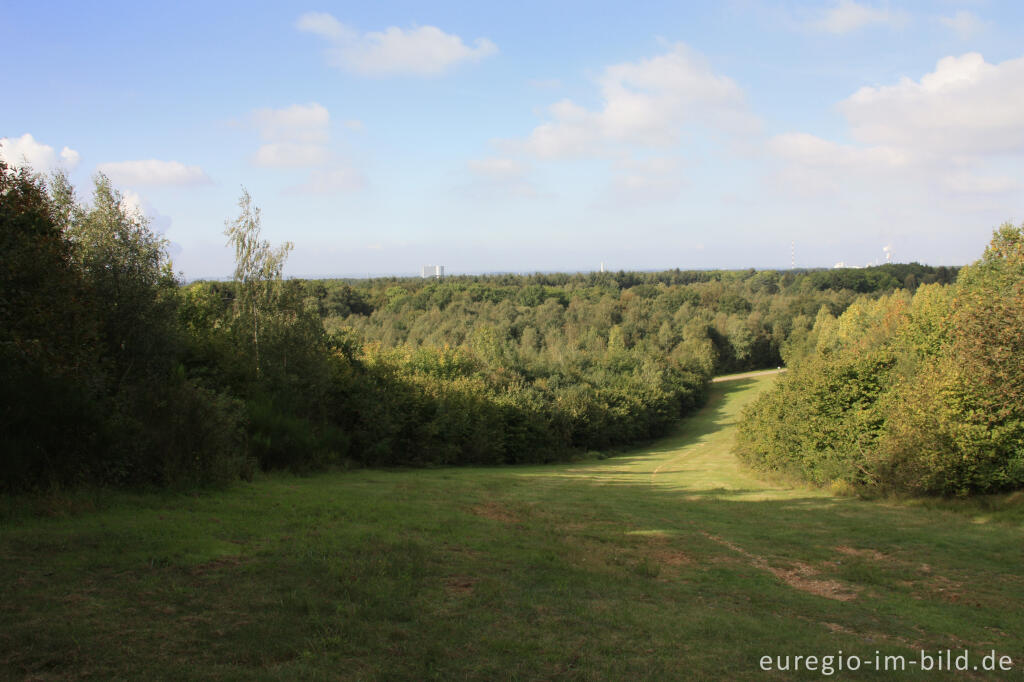 Detailansicht von Die Rodelbahn auf der Sophienhöhe