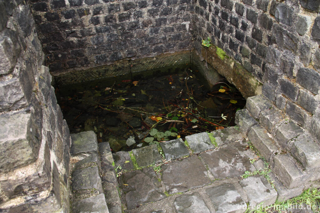 Die römische Quellfassung "Grüner Pütz", Urfttal bei Nettersheim