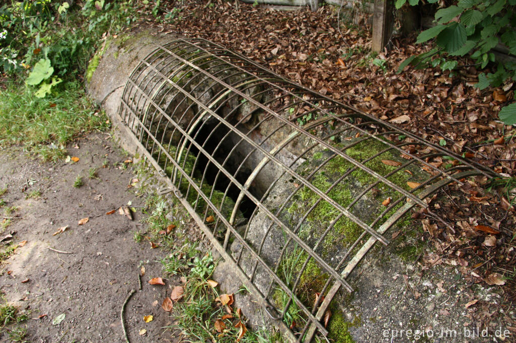 Die römische Wasserleitung bei der Quellfassung "Grüner Pütz", Urfttal bei Nettersheim