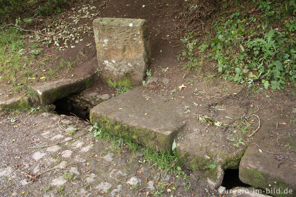 Detailansicht von Die römische Wasserleitung bei der Quellfassung "Grüner Pütz", Urfttal bei Nettersheim