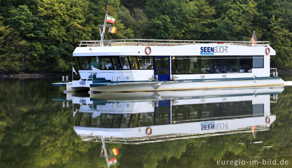 Detailansicht von Die "Seensucht" auf dem Obersee (Rurtalsperre)