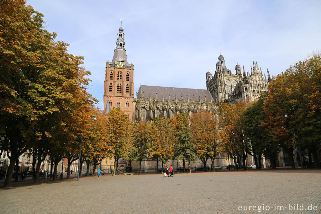 Detailansicht von Die St.-Johannes-Kathedrale (Sint Janskathedraal) in Hertogenbosch