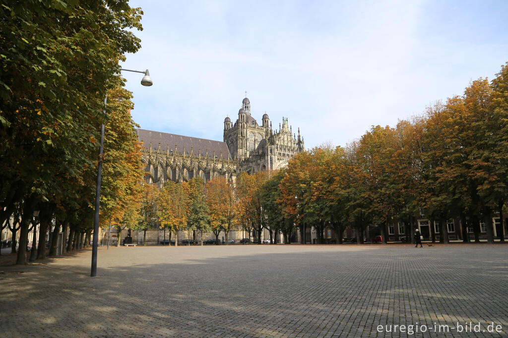 Detailansicht von Die St.-Johannes-Kathedrale (Sint Janskathedraal) in Hertogenbosch