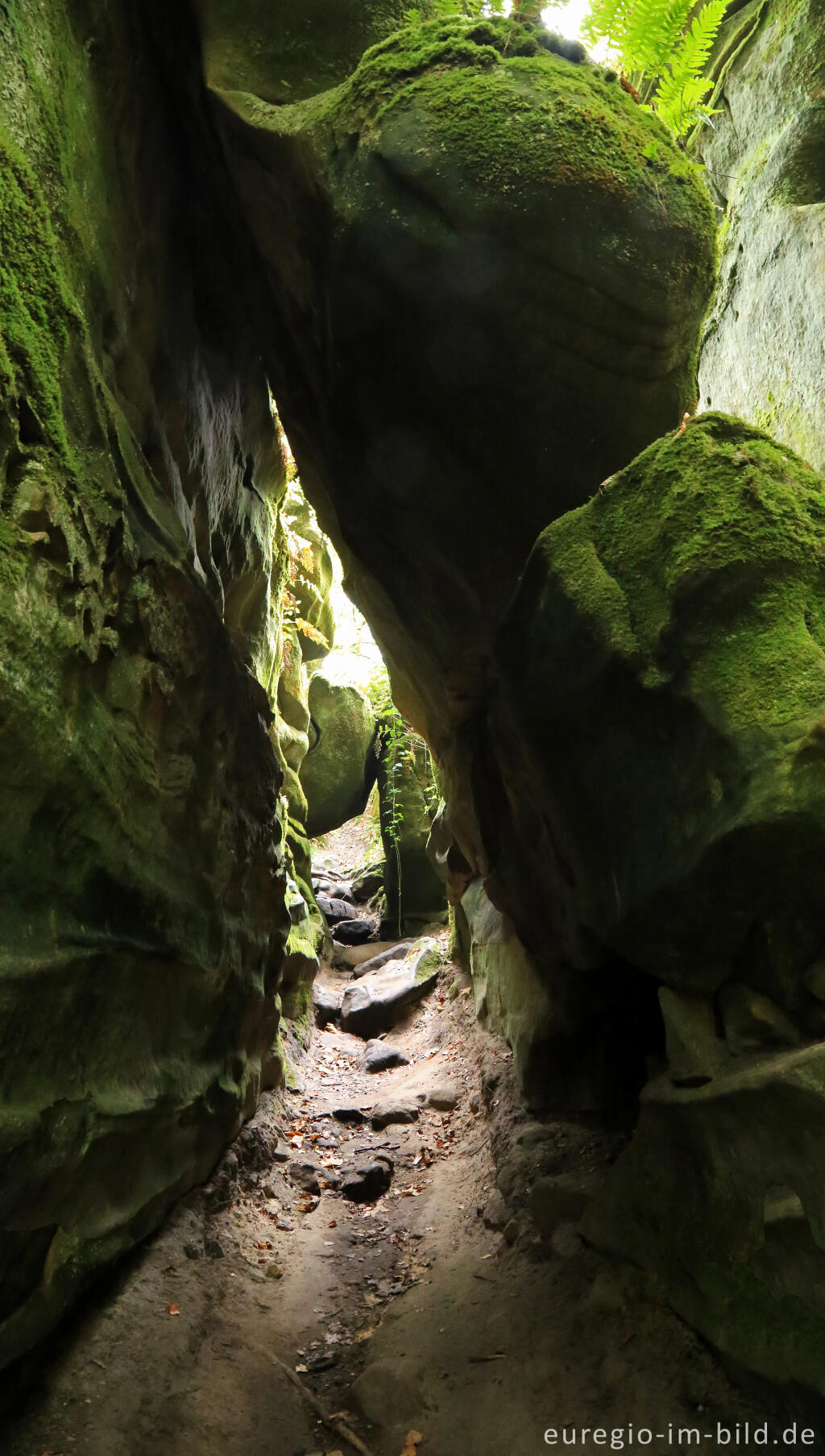 Detailansicht von Die Teufelsschlucht bei Ernzen, Südeifel