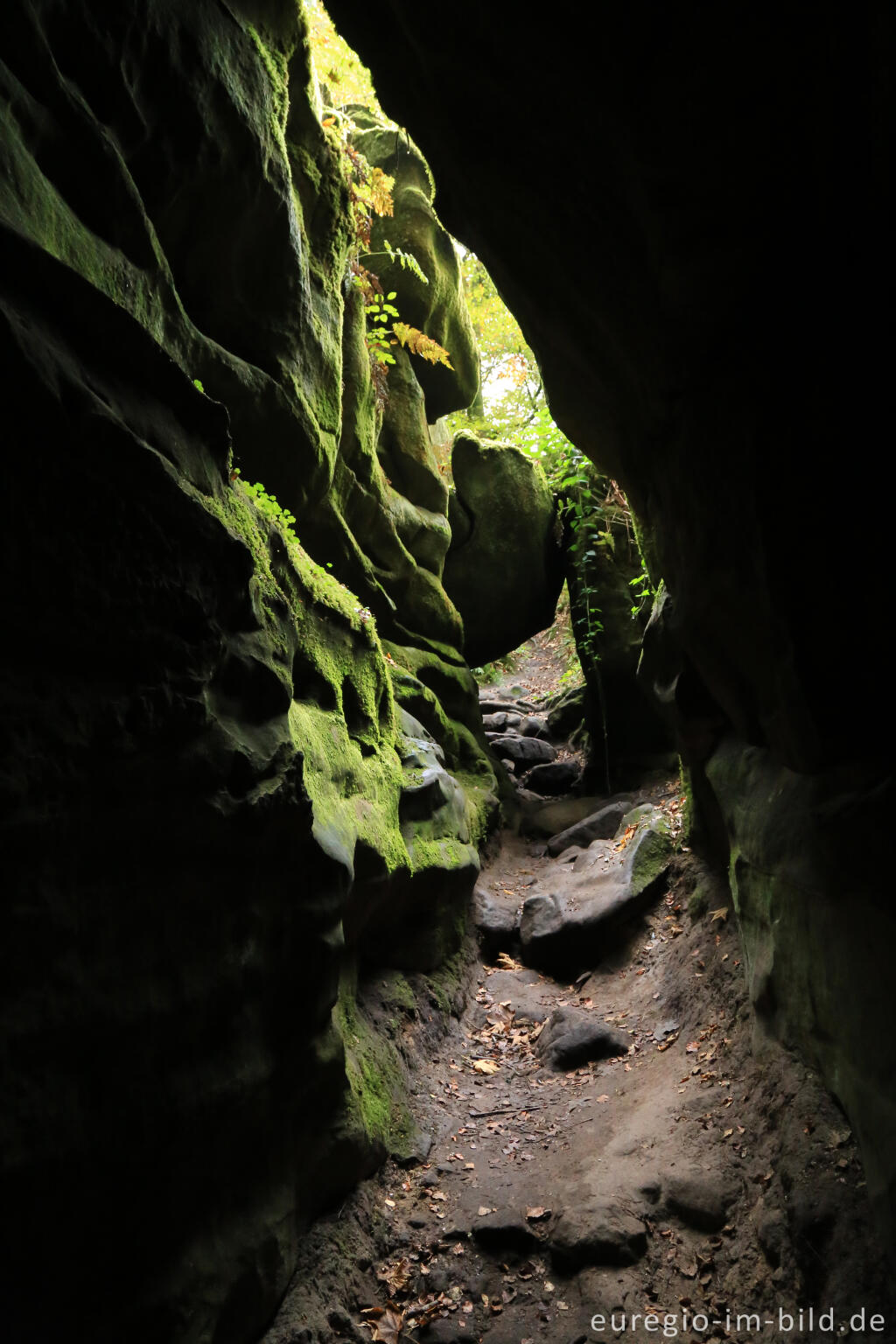 Detailansicht von Die Teufelsschlucht bei Ernzen, Südeifel