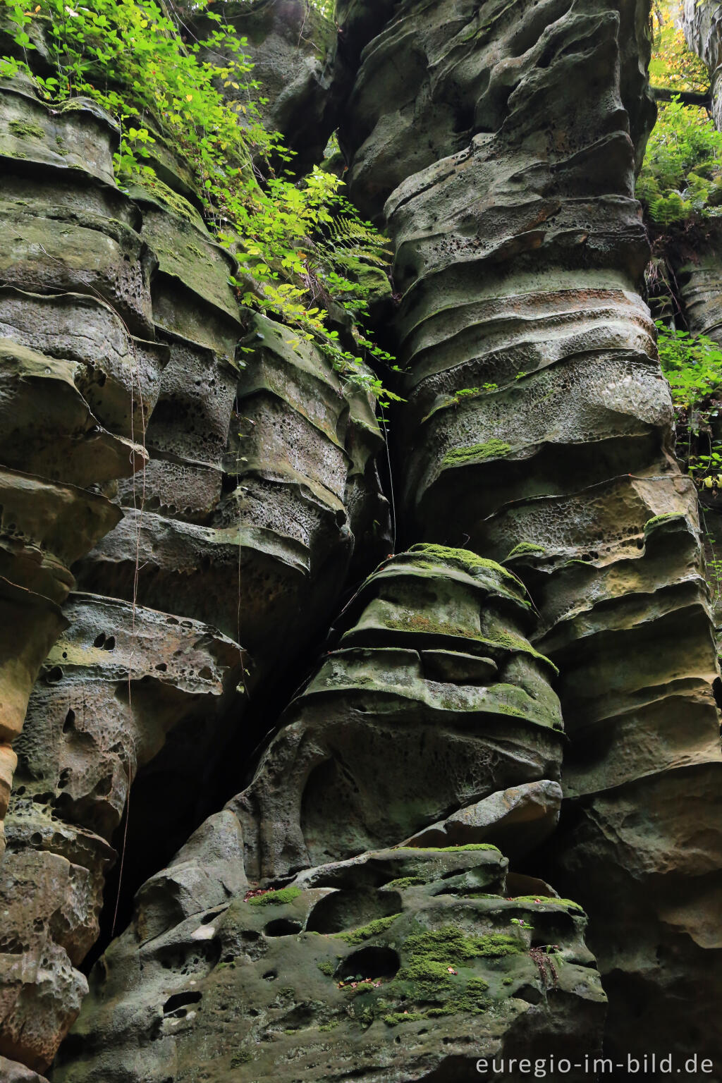 Detailansicht von Die Teufelsschlucht bei Ernzen, Südeifel