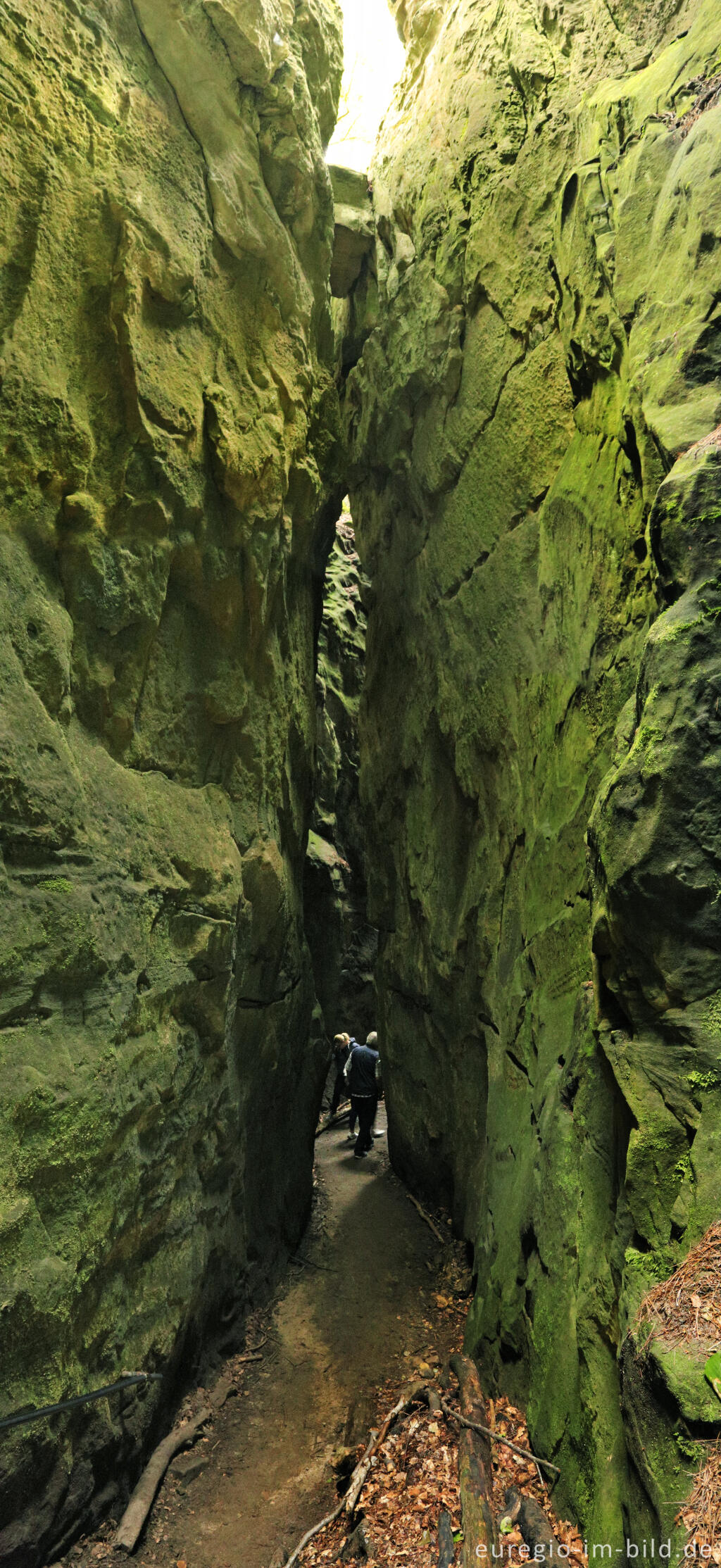 Detailansicht von Die Teufelsschlucht bei Ernzen, Südeifel