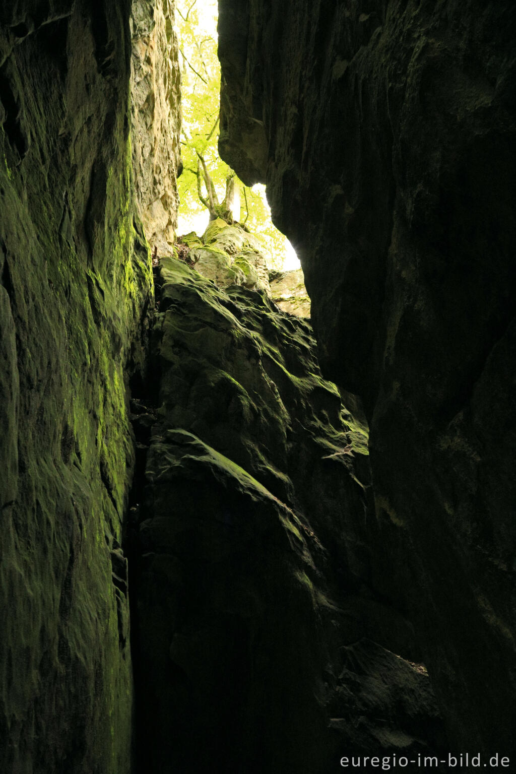 Detailansicht von Die Teufelsschlucht bei Ernzen, Südeifel