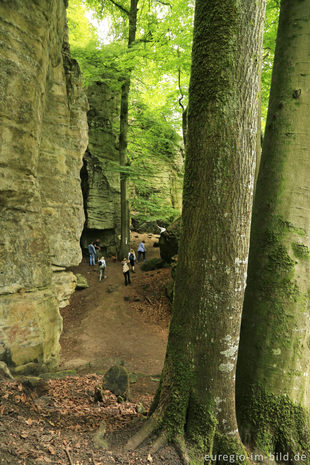 Detailansicht von Die Teufelsschlucht bei Ernzen, Südeifel