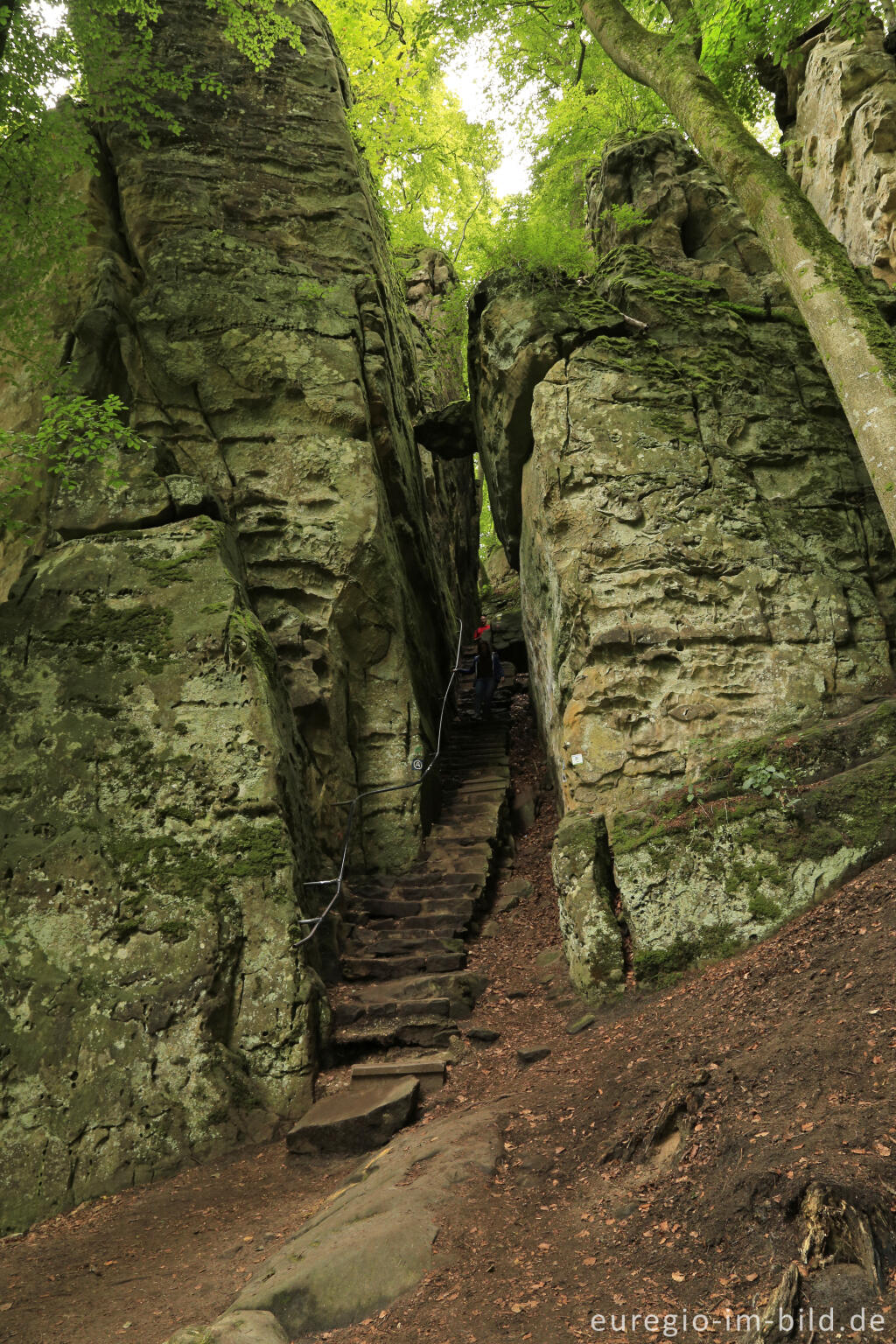 Detailansicht von Die Teufelsschlucht bei Ernzen, Südeifel