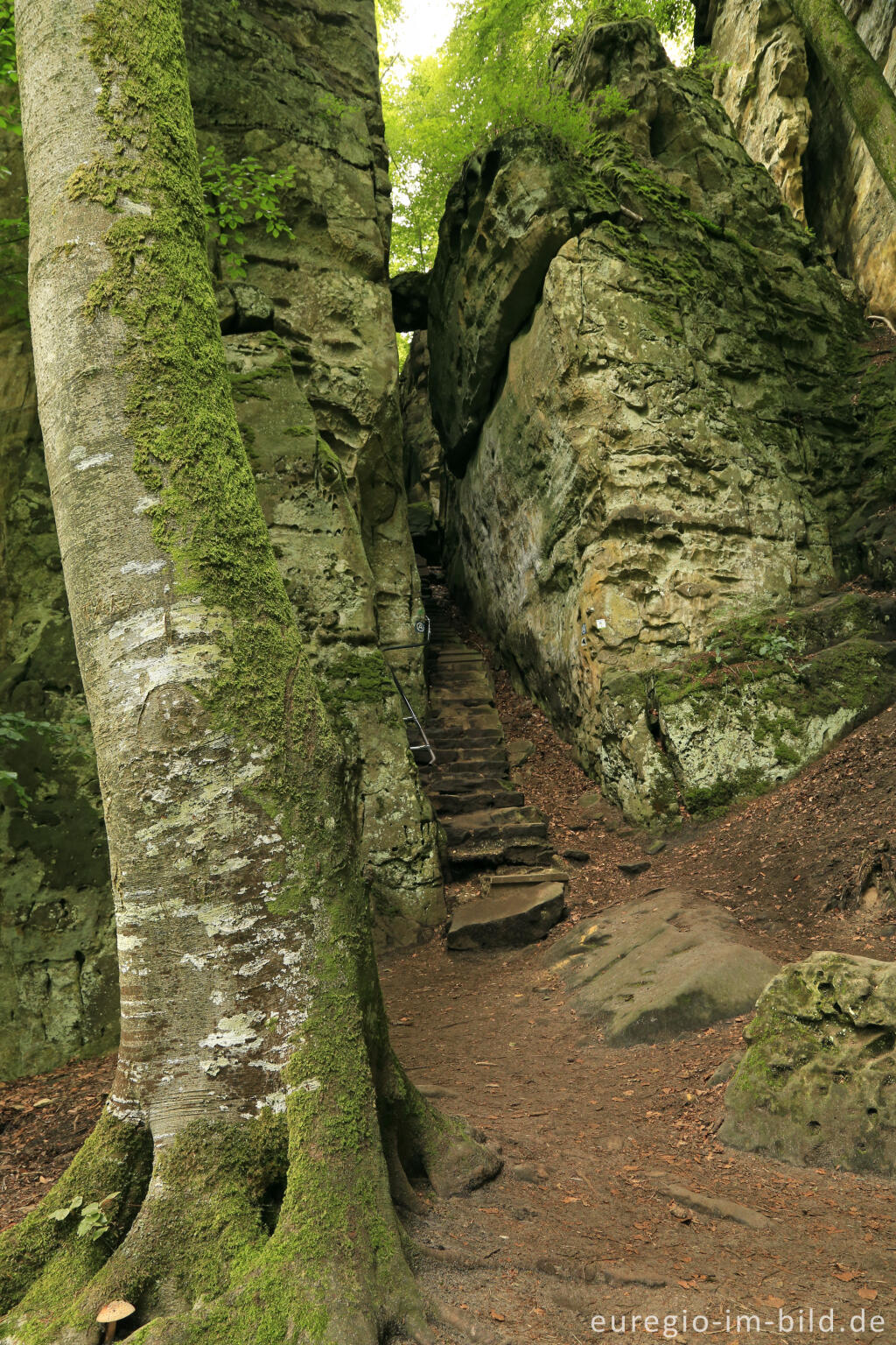 Detailansicht von Die Teufelsschlucht bei Ernzen, Südeifel