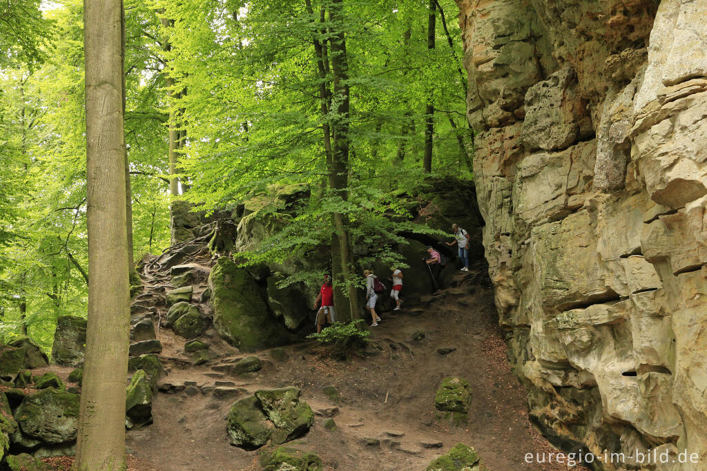 Detailansicht von Die Teufelsschlucht bei Ernzen, Südeifel