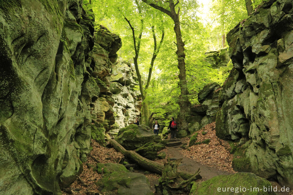 Detailansicht von Die Teufelsschlucht bei Ernzen, Südeifel