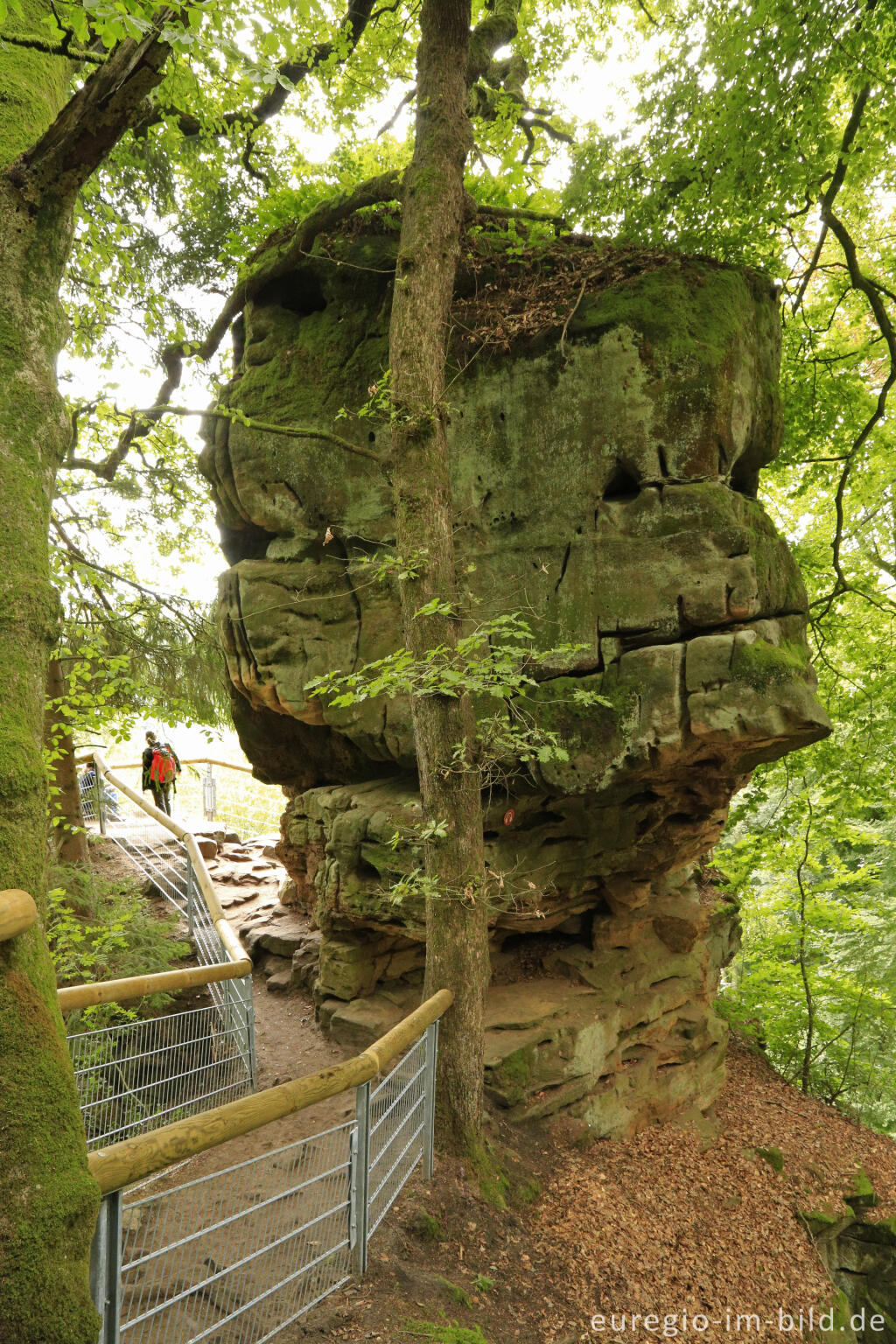 Detailansicht von Die Teufelsschlucht bei Ernzen, Südeifel