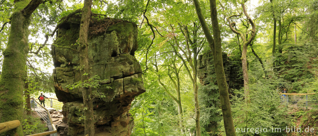 Detailansicht von Die Teufelsschlucht bei Ernzen, Südeifel