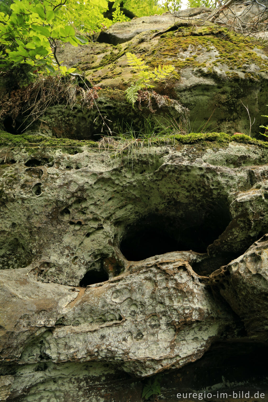 Detailansicht von Die Teufelsschlucht bei Ernzen, Südeifel