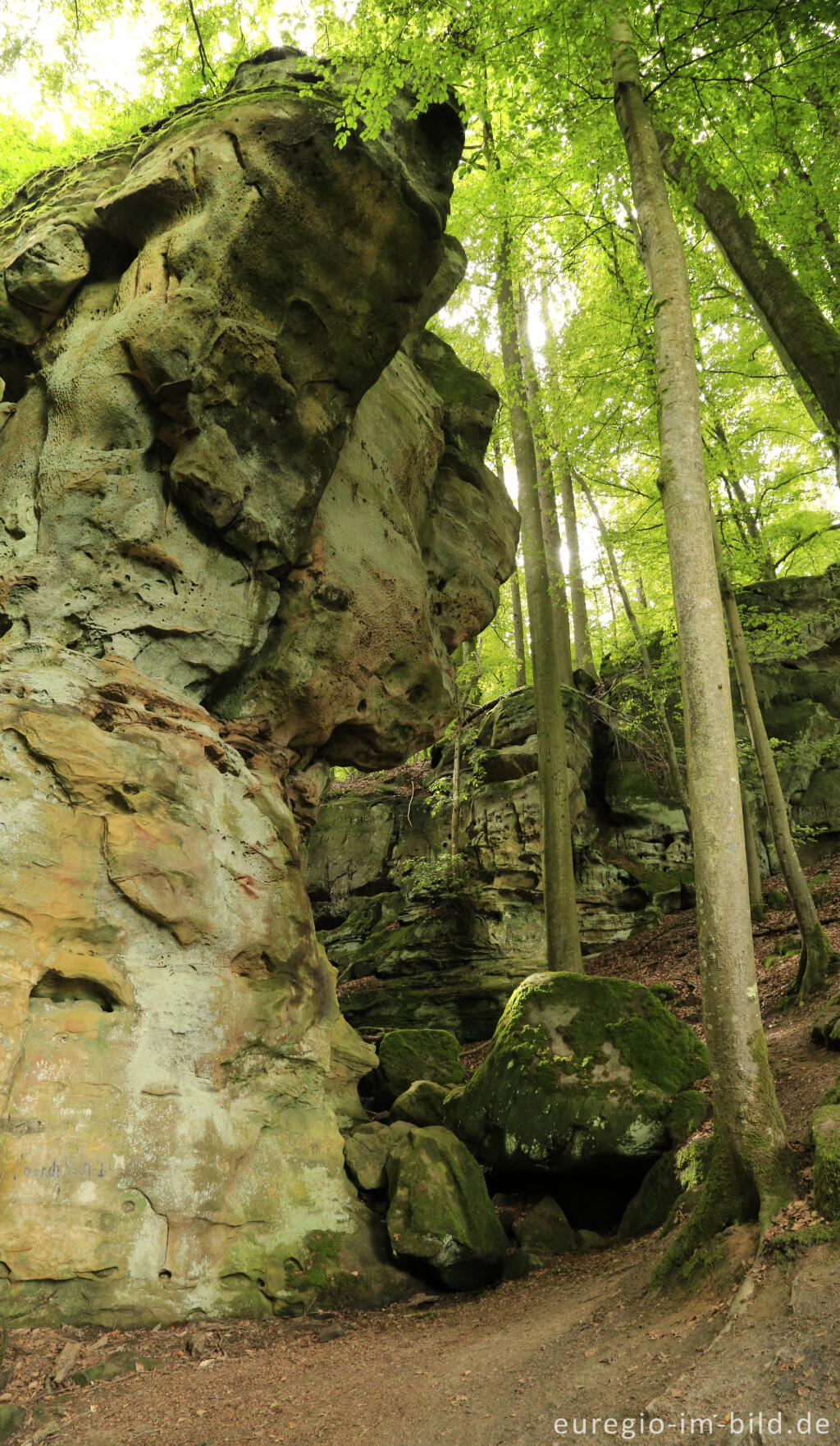 Detailansicht von Die Teufelsschlucht bei Ernzen, Südeifel