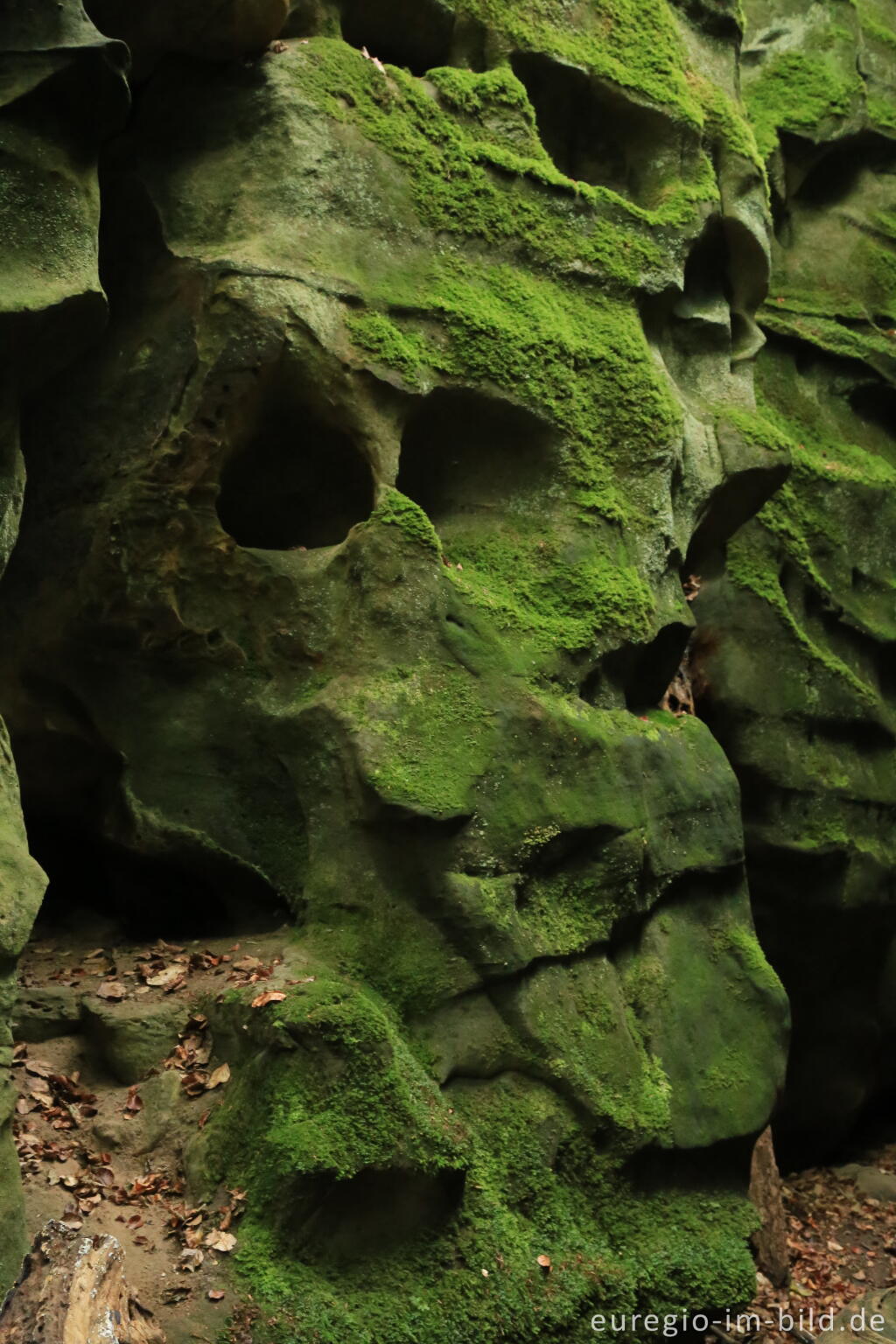 Detailansicht von Die Teufelsschlucht bei Ernzen, Südeifel