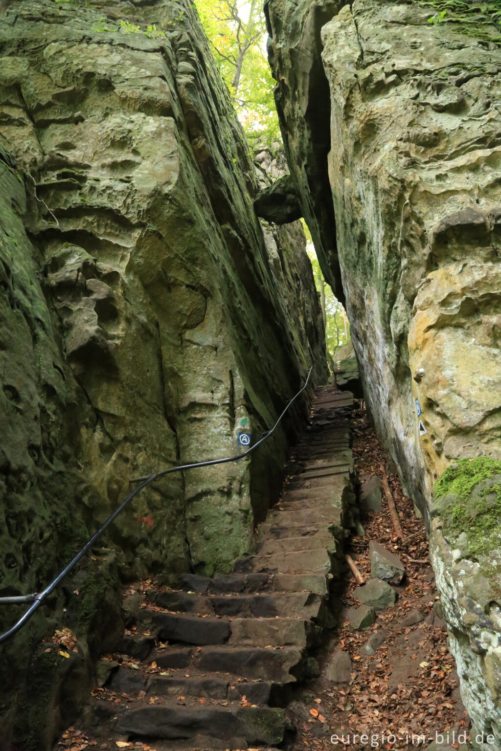 Detailansicht von Die Teufelsschlucht bei Ernzen, Südeifel