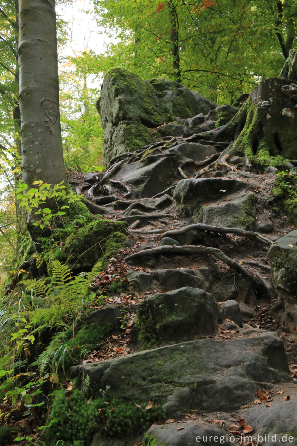 Detailansicht von Die Teufelsschlucht bei Ernzen, Südeifel