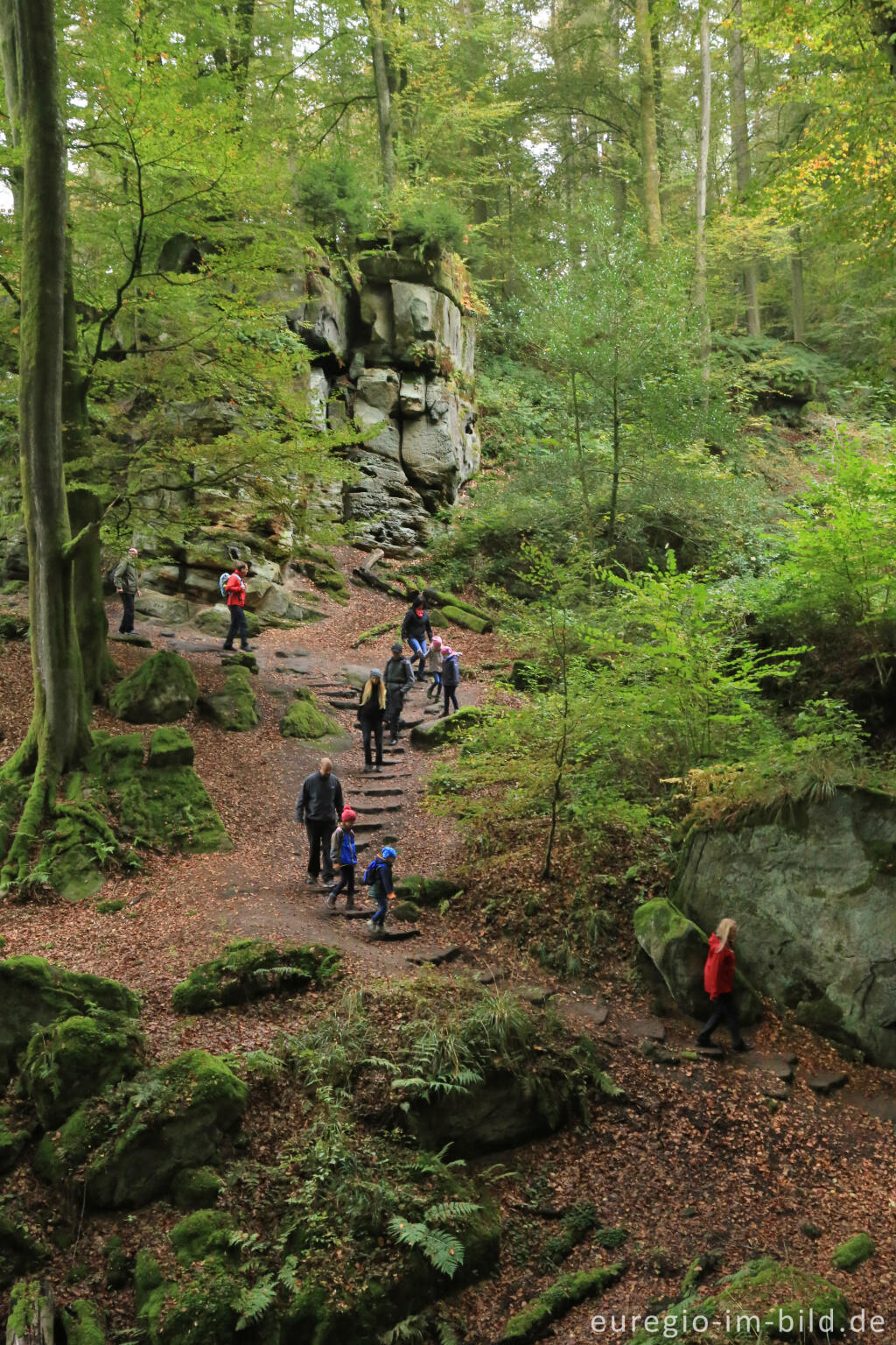 Detailansicht von Die Teufelsschlucht bei Ernzen, Südeifel