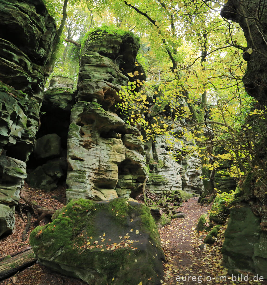 Detailansicht von Die Teufelsschlucht bei Ernzen, Südeifel