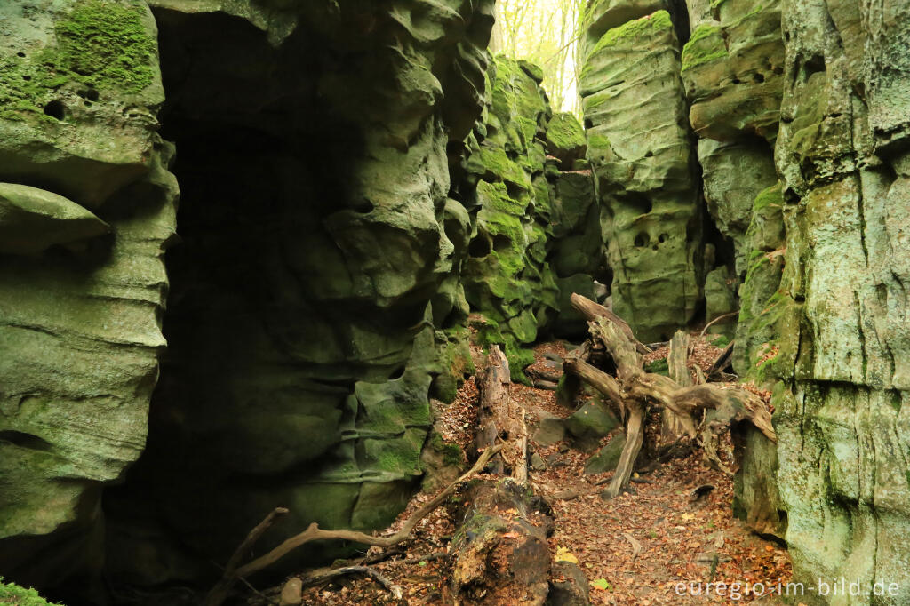 Detailansicht von Die Teufelsschlucht bei Ernzen, Südeifel