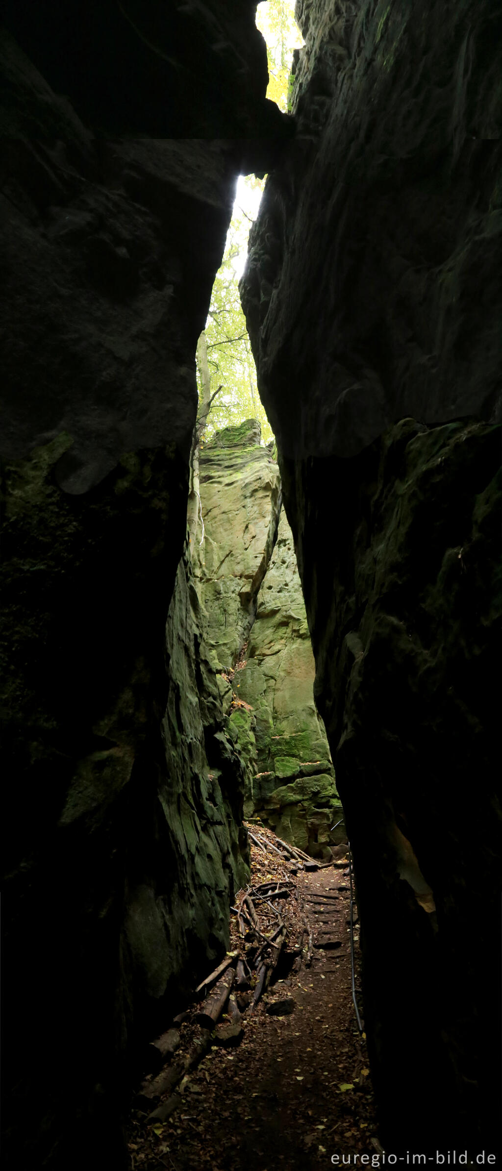 Detailansicht von Die Teufelsschlucht bei Ernzen, Südeifel