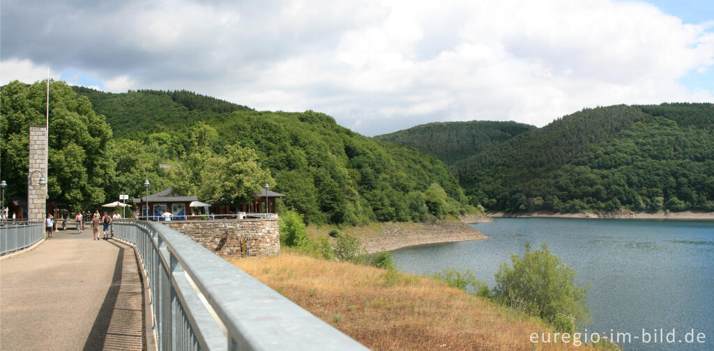 Detailansicht von Die Urfttalsperre im Nationalpark Eifel