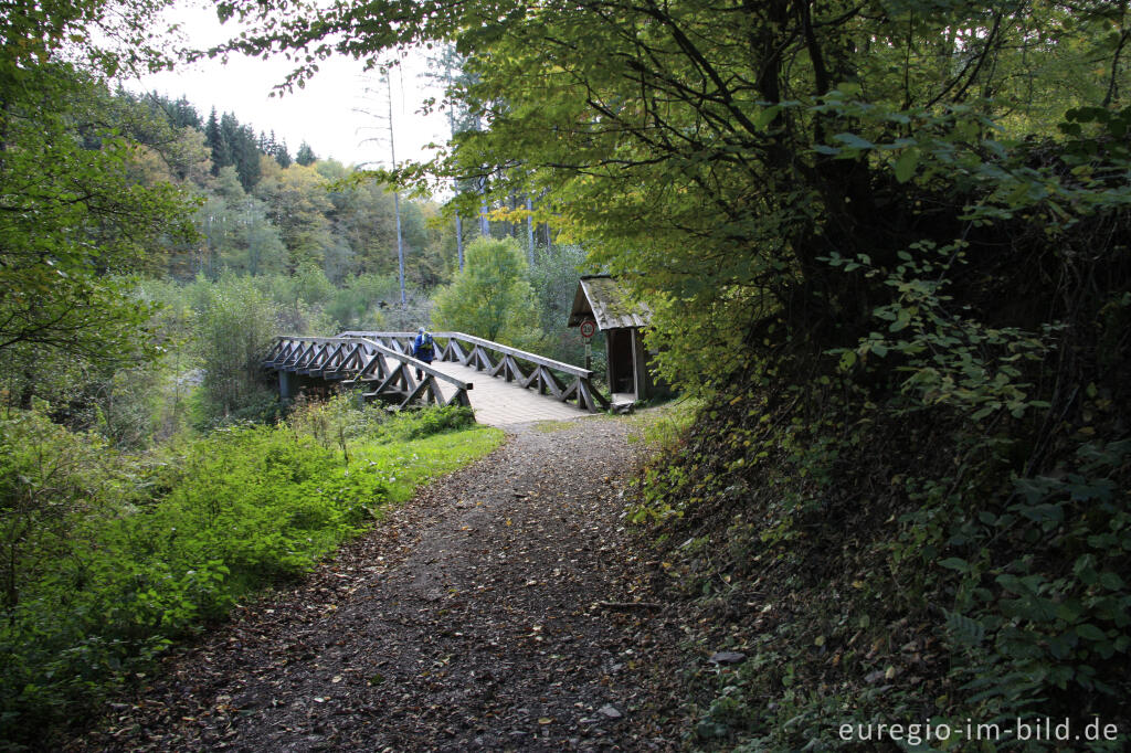 Detailansicht von Die Urpferdbrücke im Liesertal nördlich von Manderscheid