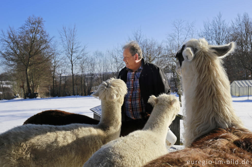 Detailansicht von Die "Venn-Lamas" von Paustenbach