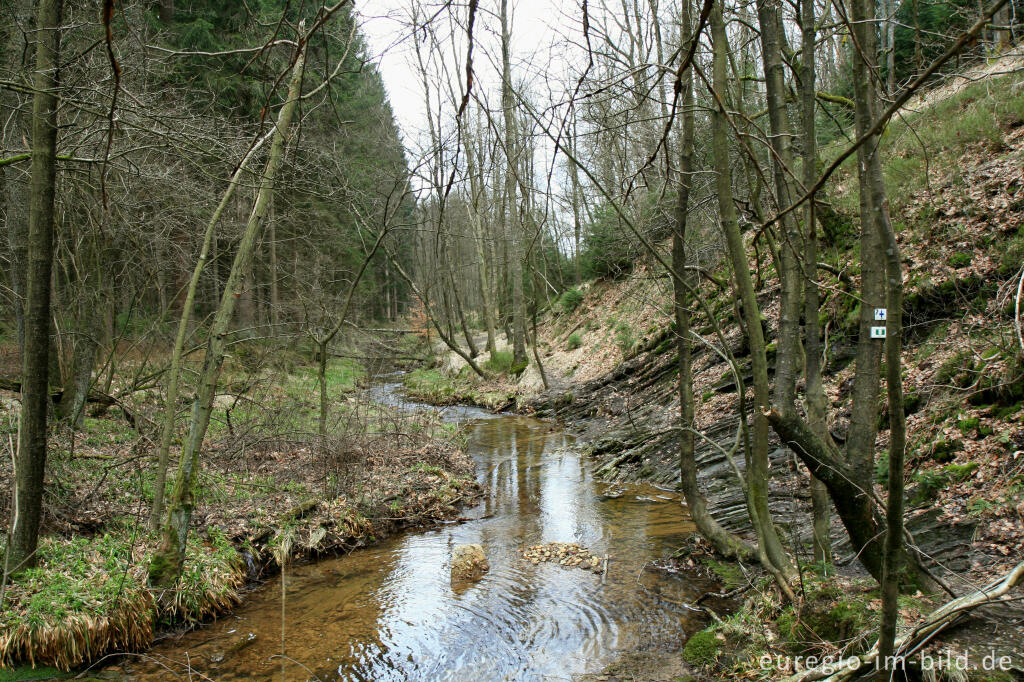 Detailansicht von Die Weser bei Petergensfeld, Nordeifel