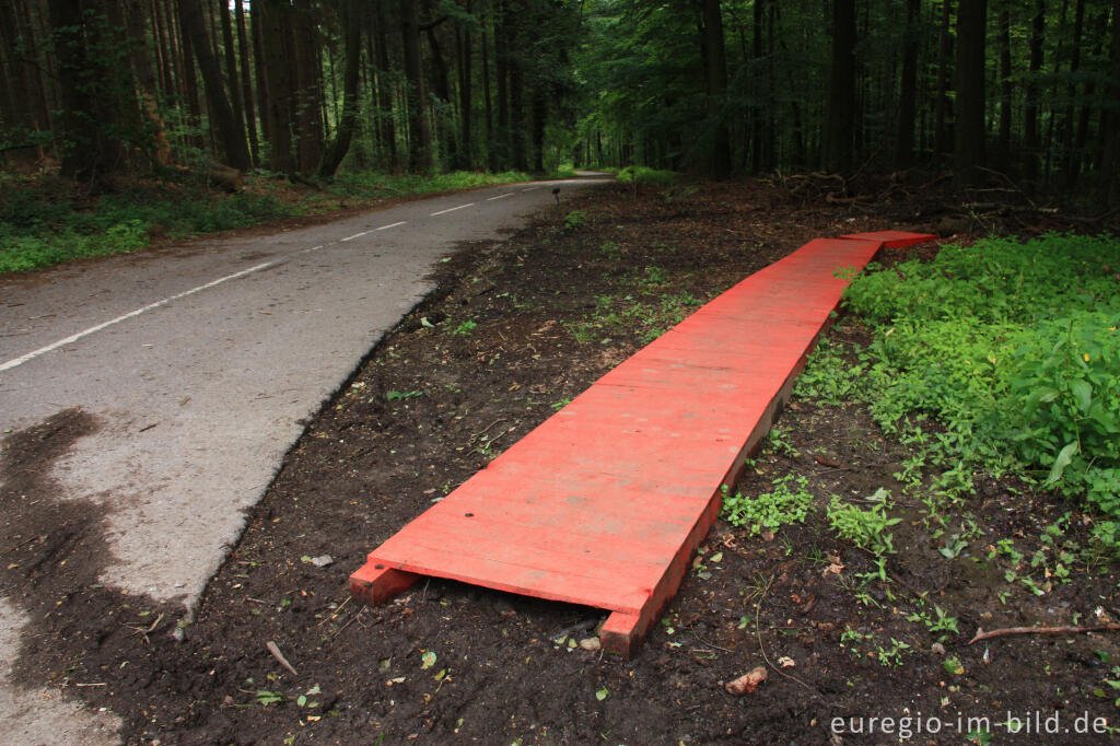 Detailansicht von Dieter Call: "don´t walk walkway", Grenzkunstroute011 beim Grenzübergang Aachen-Köpfchen