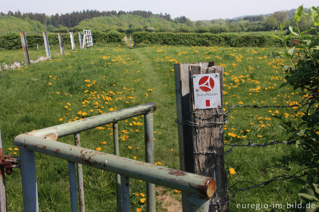 Detailansicht von Drehsperre auf der GrenzRoute 1 bei Raeren, B.