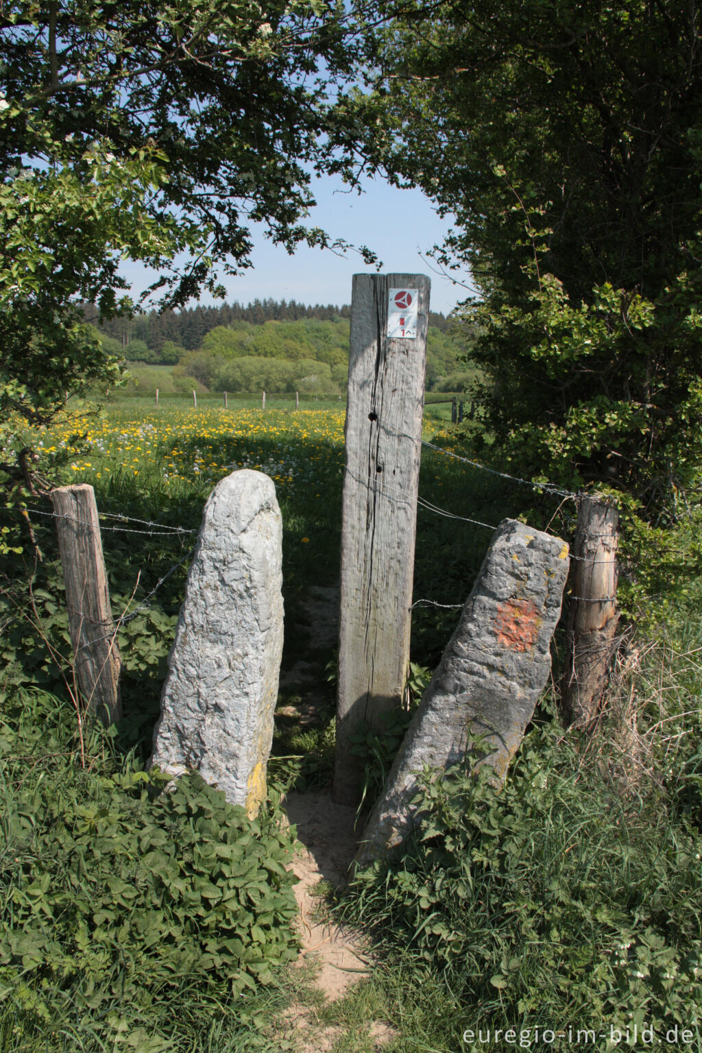 Detailansicht von Durchgang (Stiegel) durch eine Hecke, GrenzRoute 1 bei Raeren, B.