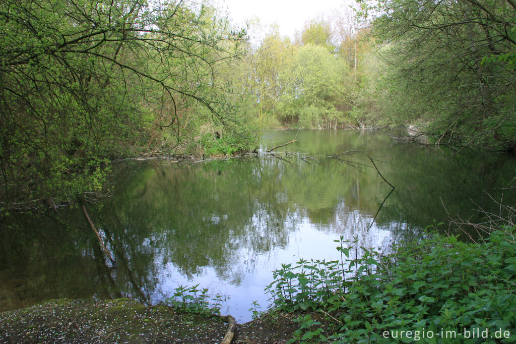 Detailansicht von Ehemaliger Steinbruch im Gillenbusch bei Glimbach (Linnich)