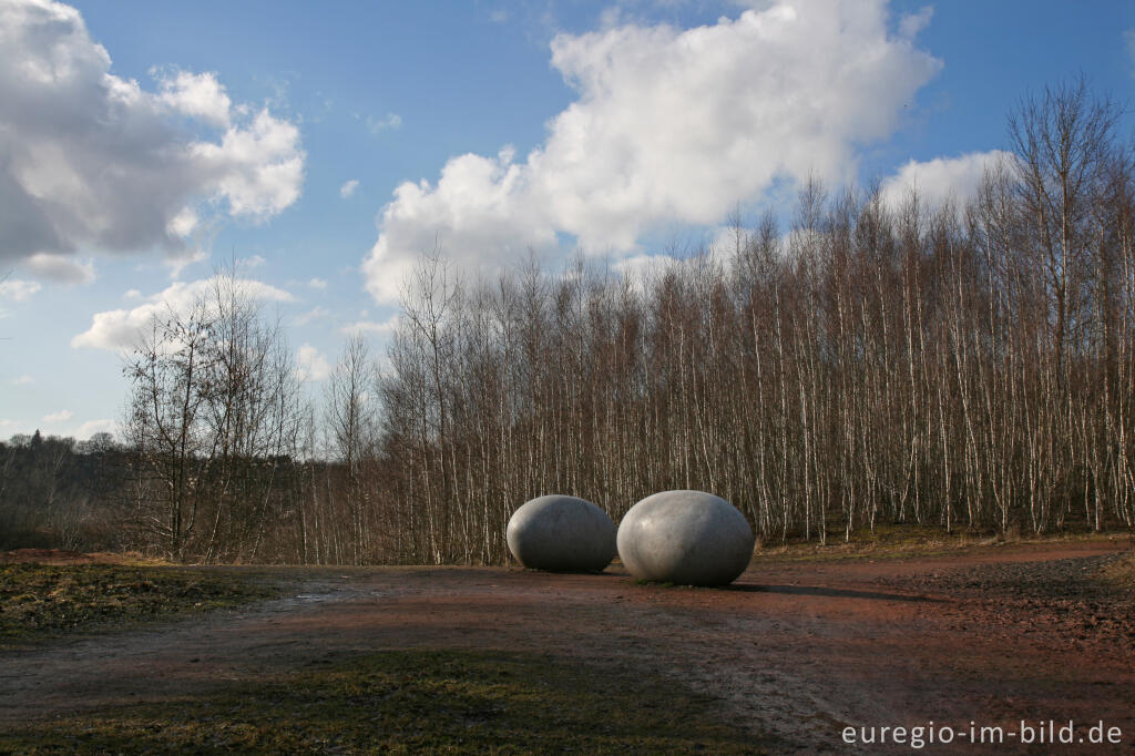 Detailansicht von Eier im Wurmtal bei Würselen