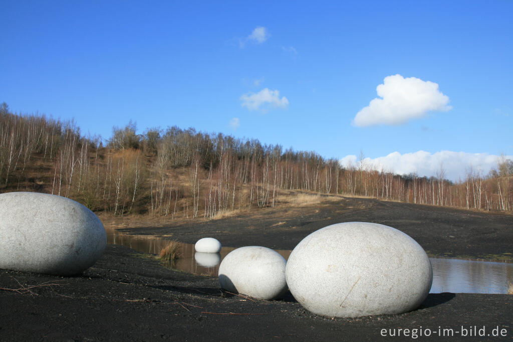 Detailansicht von Eier im Wurmtal bei Würselen