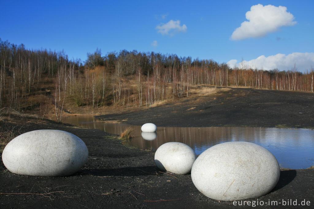 Detailansicht von Eier im Wurmtal bei Würselen