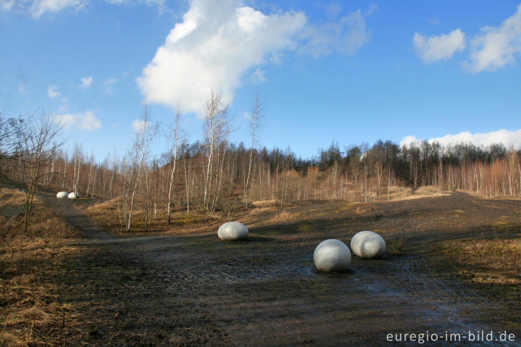 Detailansicht von Eier im Wurmtal bei Würselen