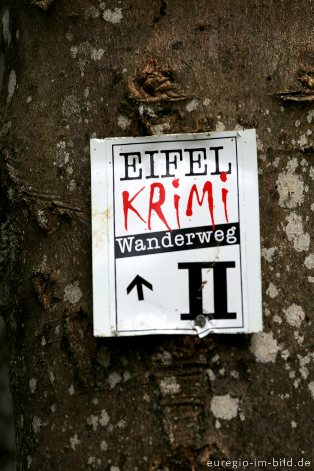 Detailansicht von Eifel-Krimi Wanderweg beim  Dreimühlen-Wasserfall