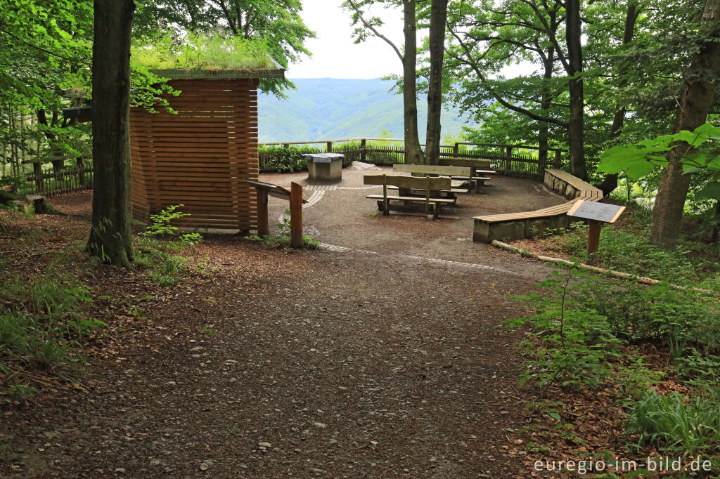 Detailansicht von Eifelblick Hirschley auf dem  Kermeter im Nationalpark Eifel