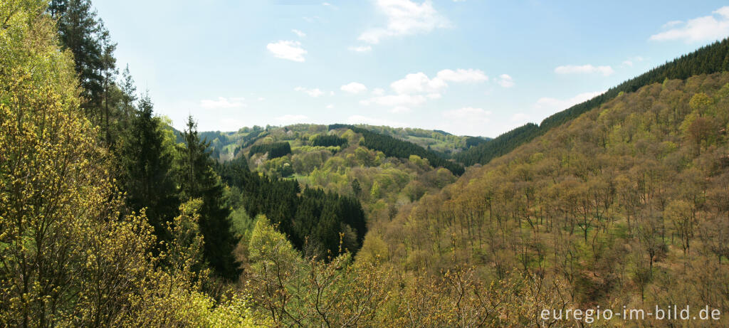 Detailansicht von Eifelblick, Perds Ley im Rurtal, Eifelsteig