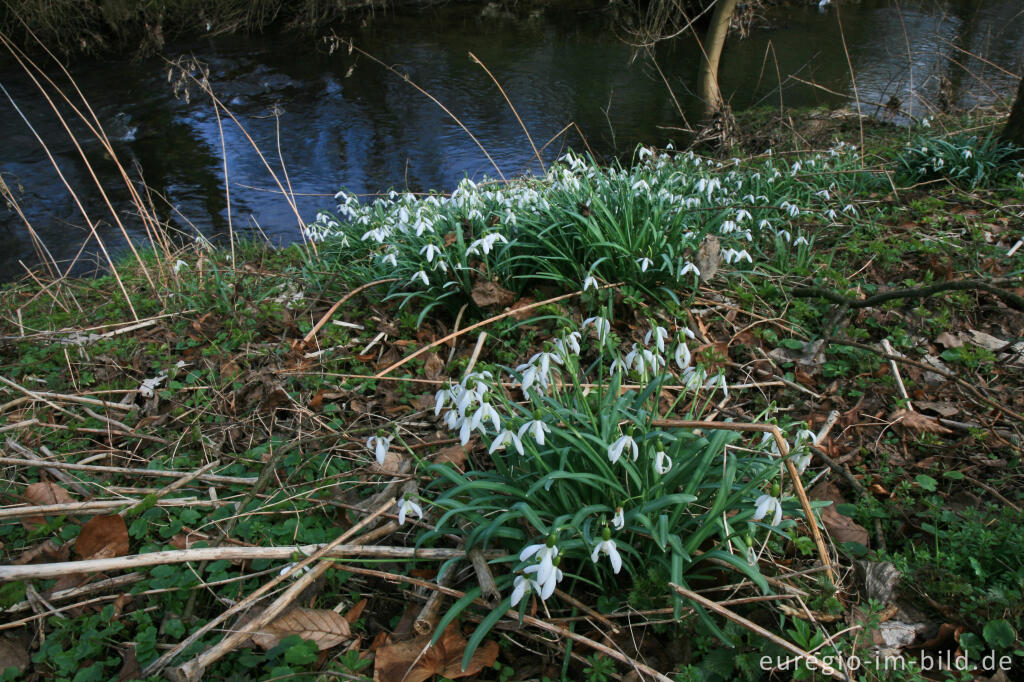 Eifelsteig, 1. Etappe, südlich von Kornelimünster